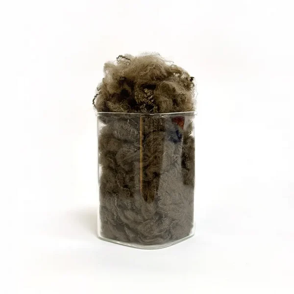 Color Recycled Polyester Fiber