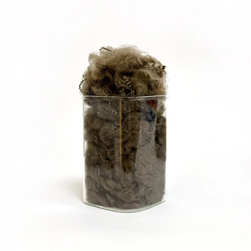 Color Recycled Polyester Fiber