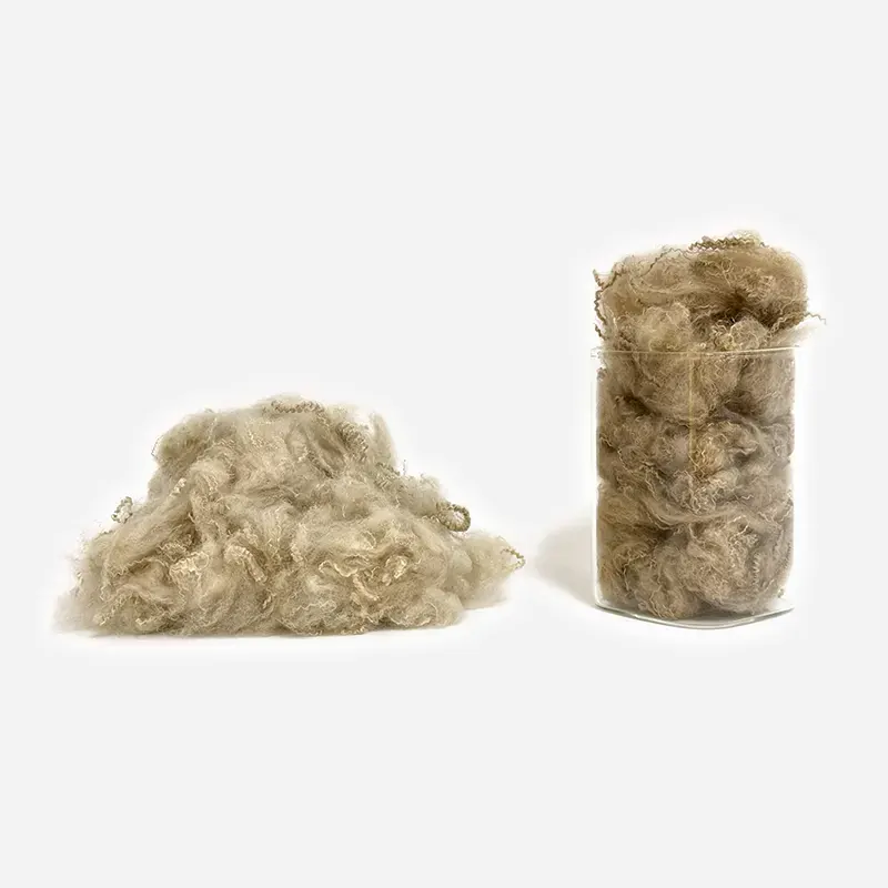 Color Recycled Polyester Fiber