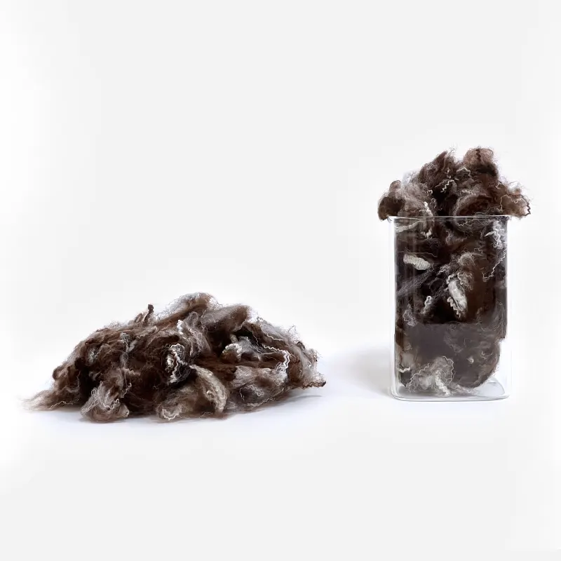 Color Recycled Polyester Fiber
