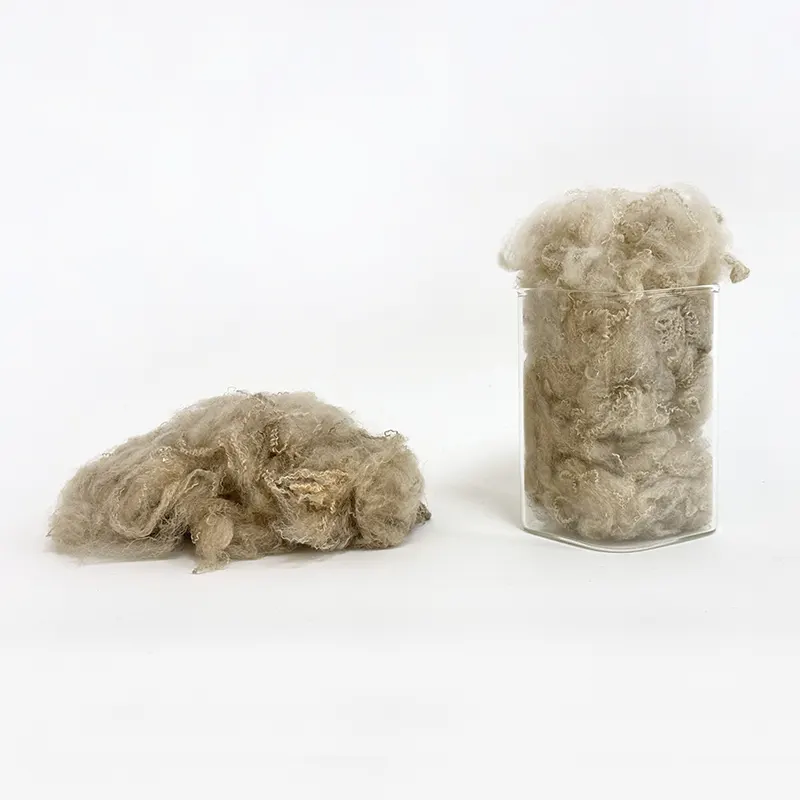 Color Recycled Polyester Fiber