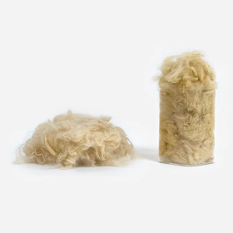 Color Recycled Polyester Fiber